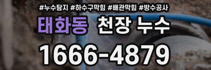 태화동 천장 누수