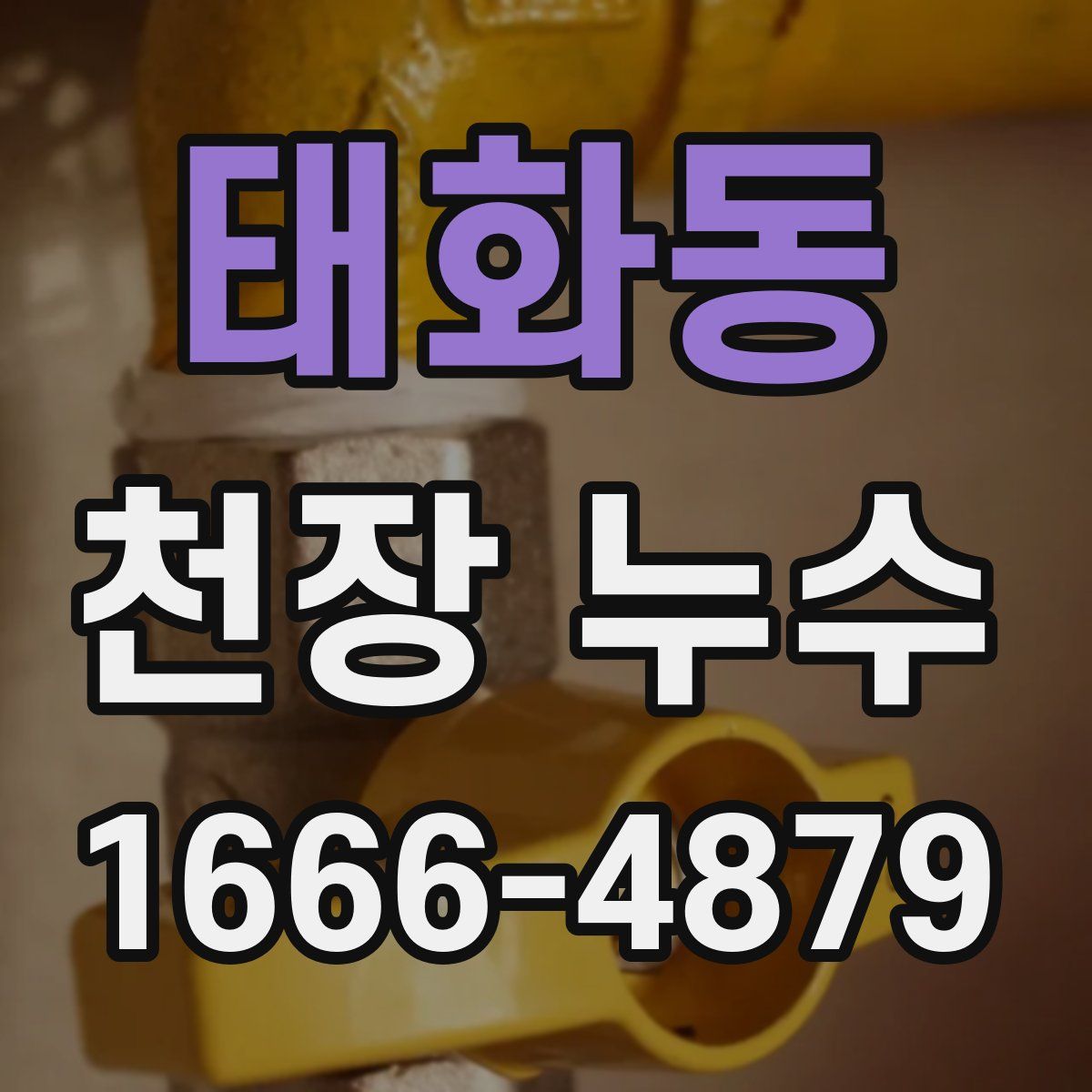 태화동 천장 누수