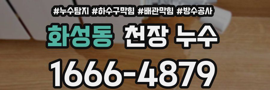 화성동 천장 누수