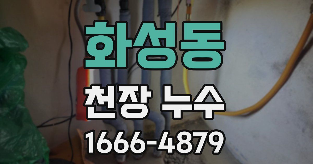 화성동 천장 누수