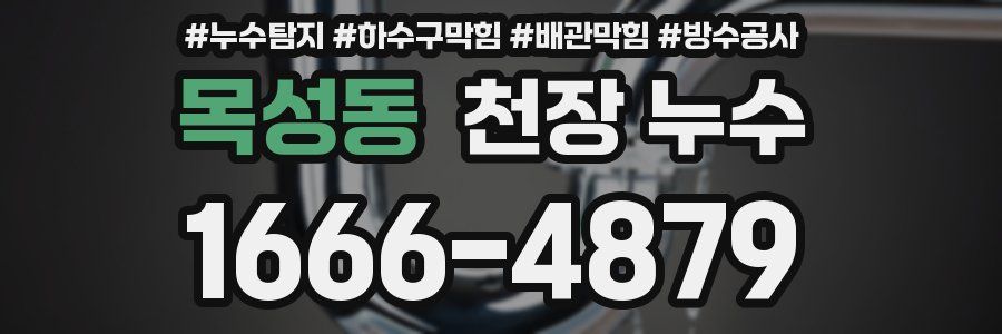 목성동 천장 누수