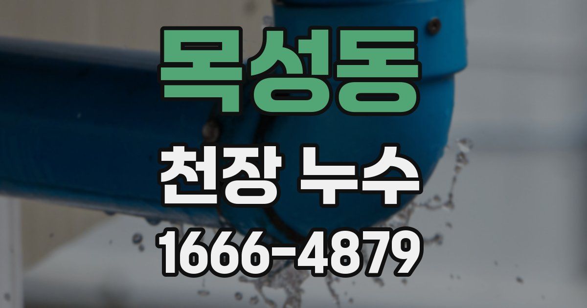 목성동 천장 누수
