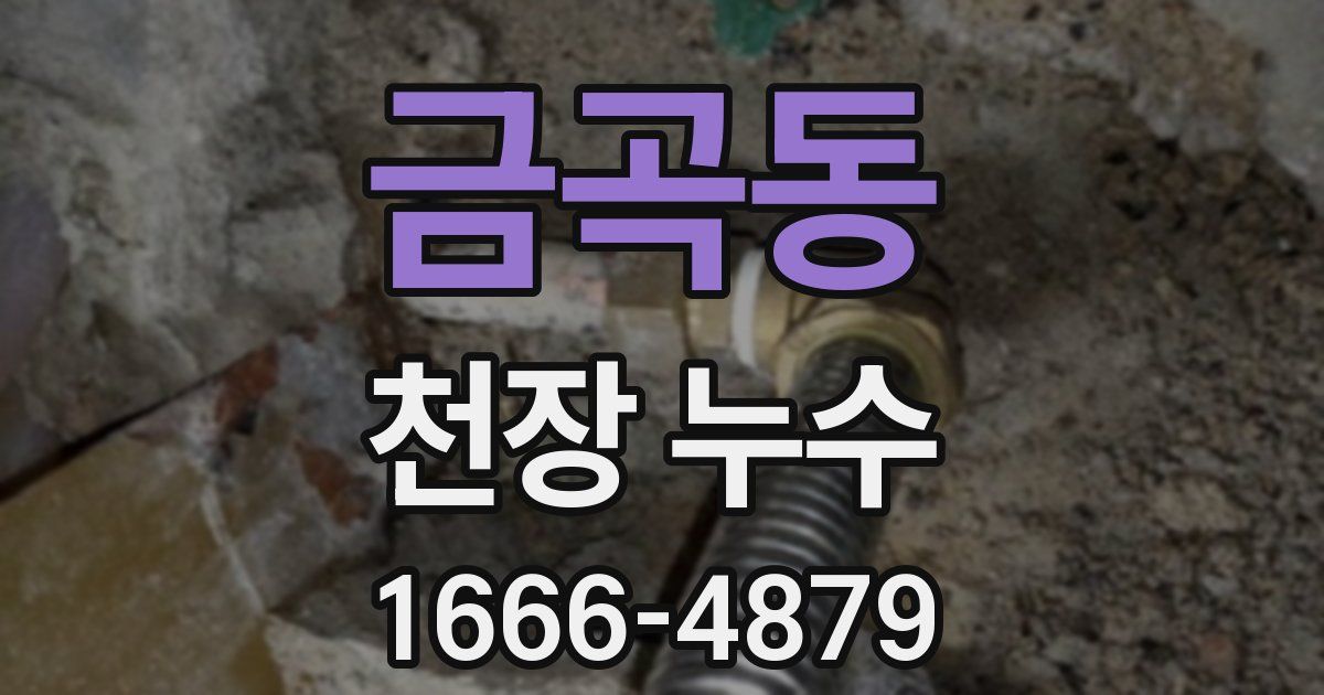 금곡동 천장 누수