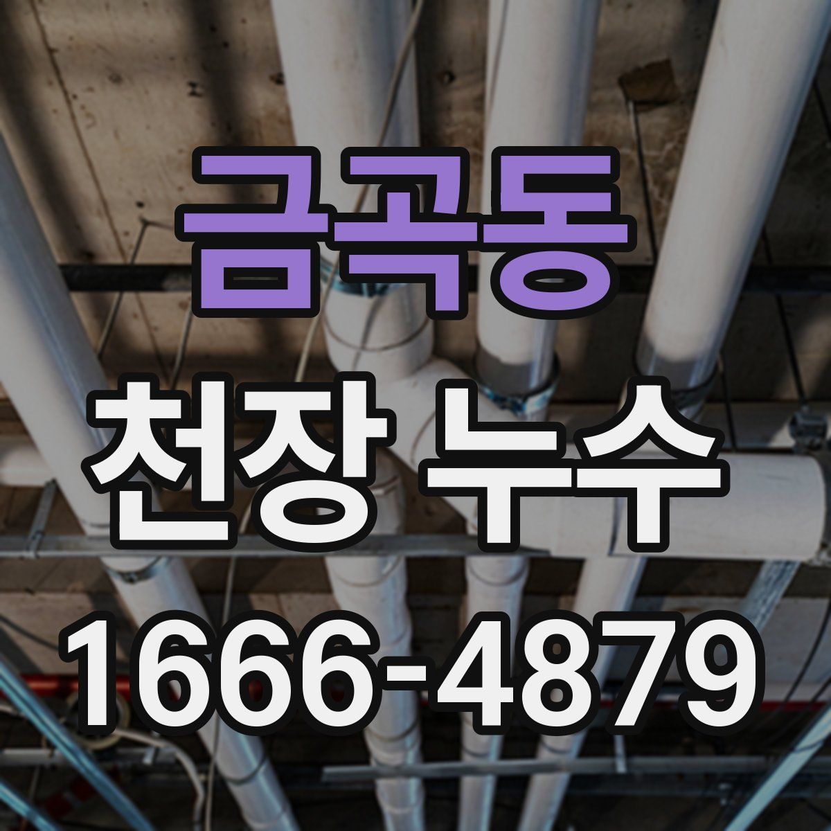 금곡동 천장 누수