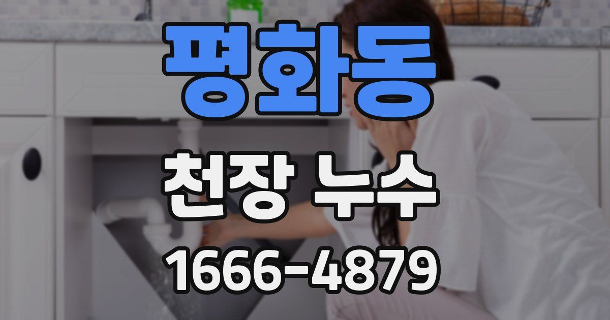 평화동 천장 누수