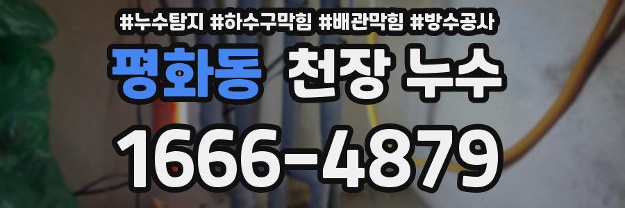 평화동 천장 누수