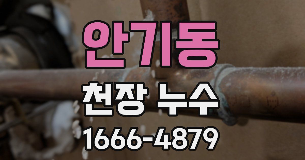 안기동 천장 누수