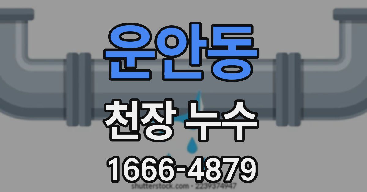 운안동 천장 누수