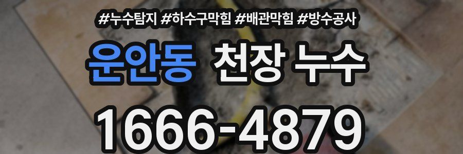 운안동 천장 누수