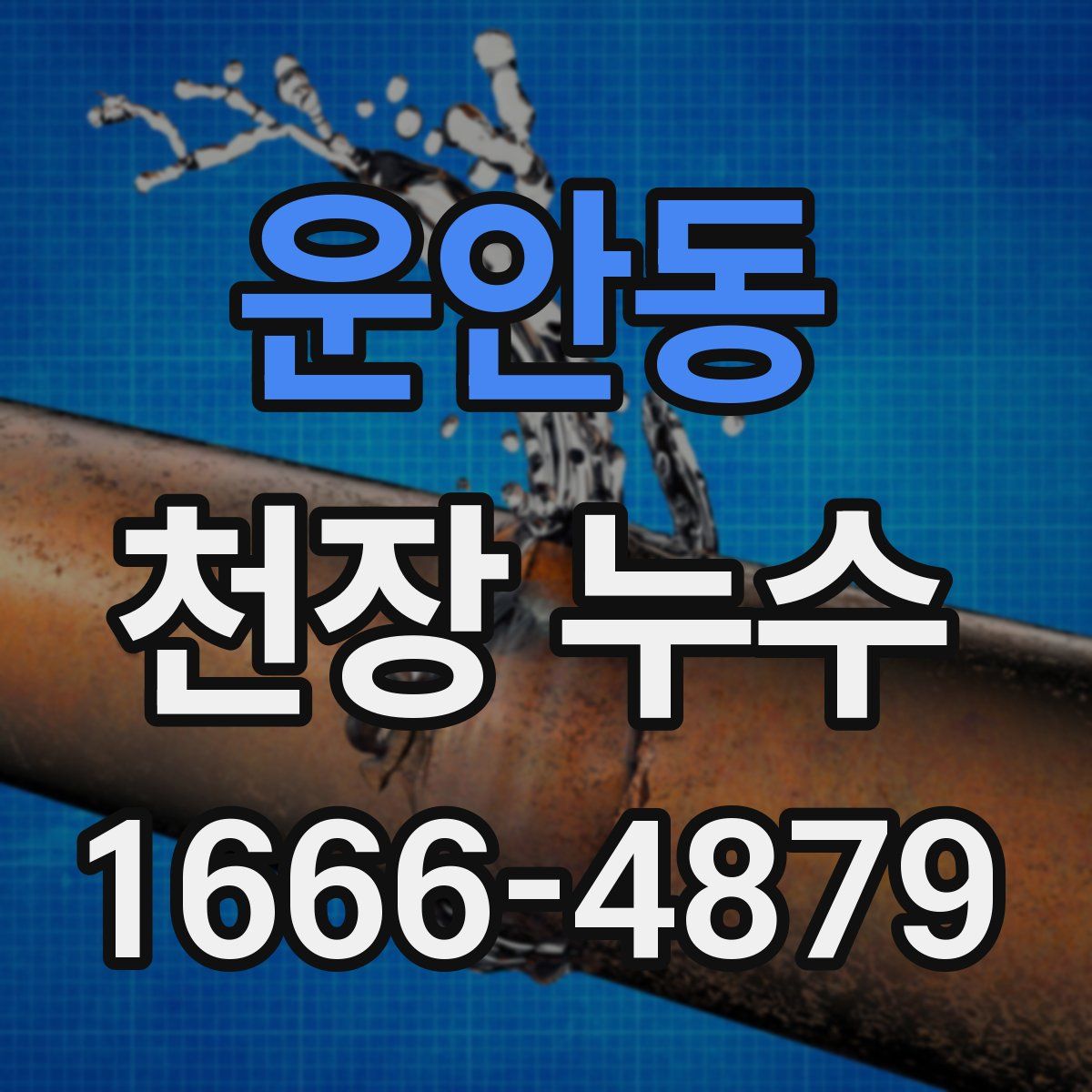 운안동 천장 누수