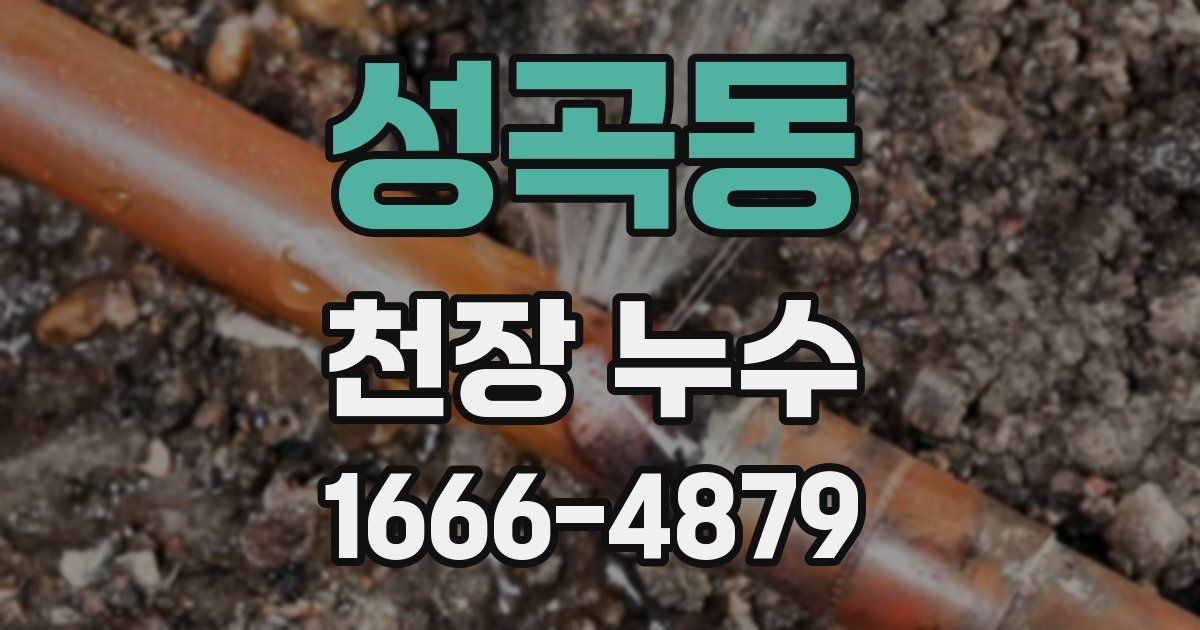 성곡동 천장 누수