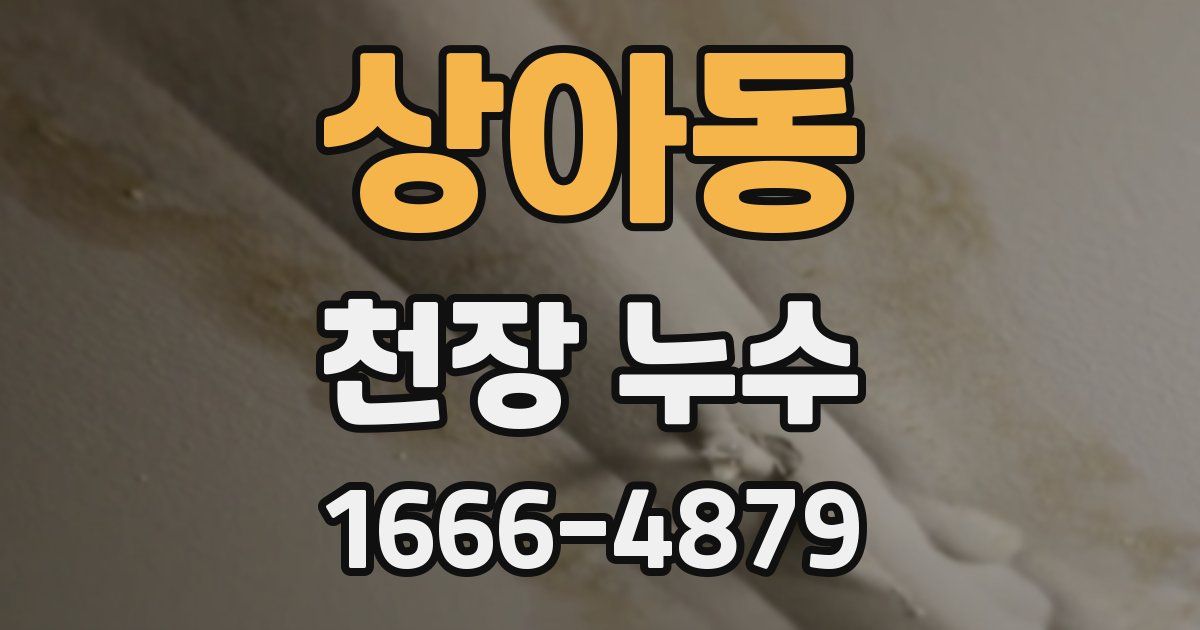 상아동 천장 누수