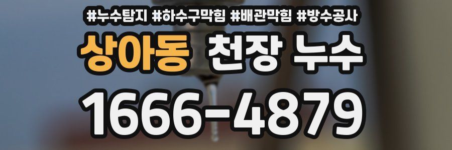 상아동 천장 누수