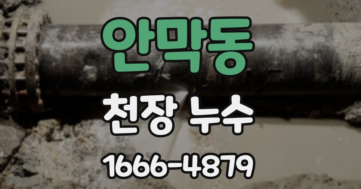안막동 천장 누수