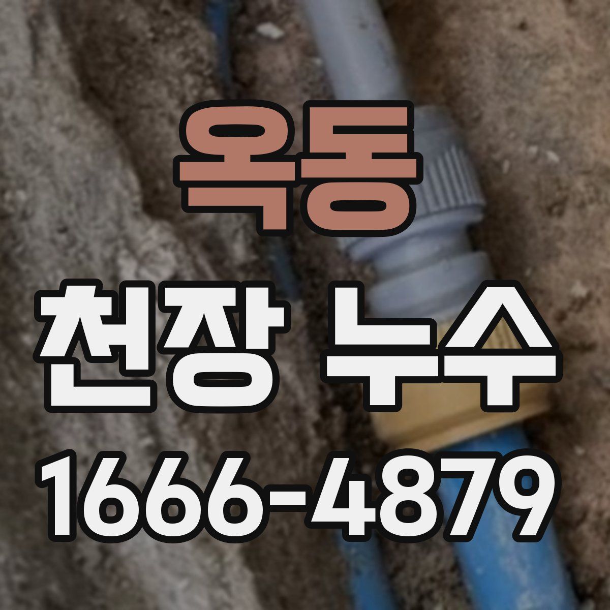 옥동 천장 누수