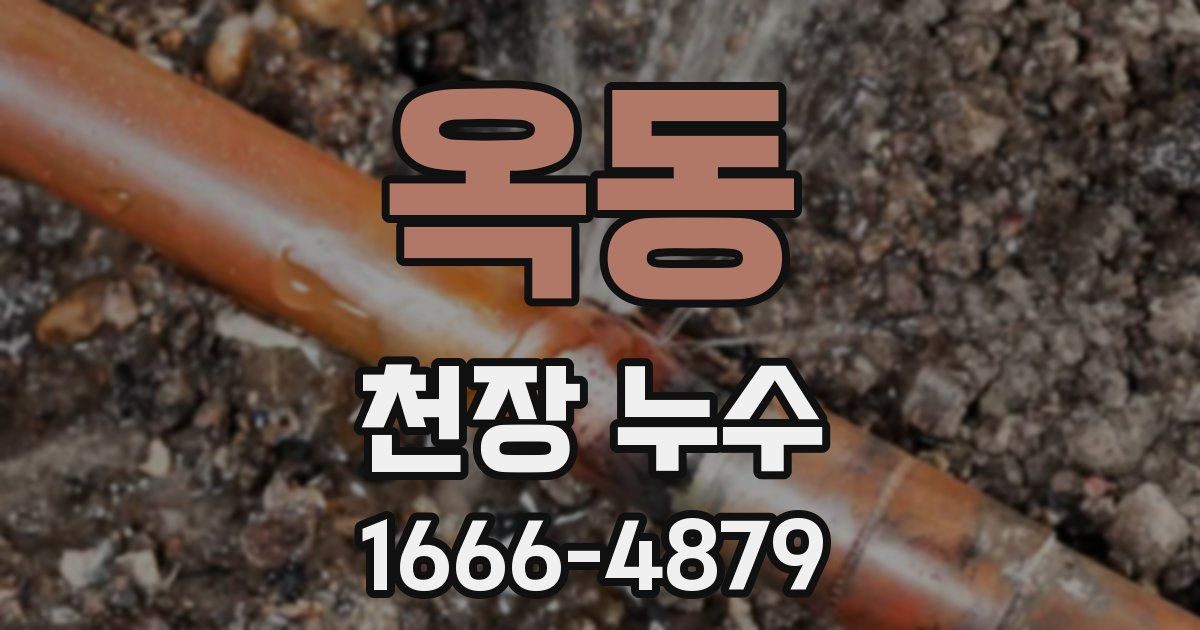 옥동 천장 누수
