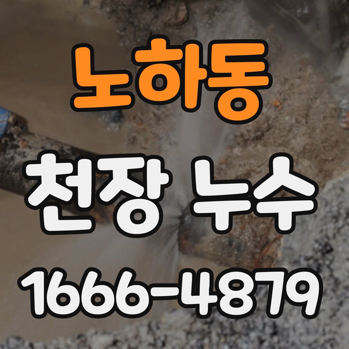 노하동 천장 누수