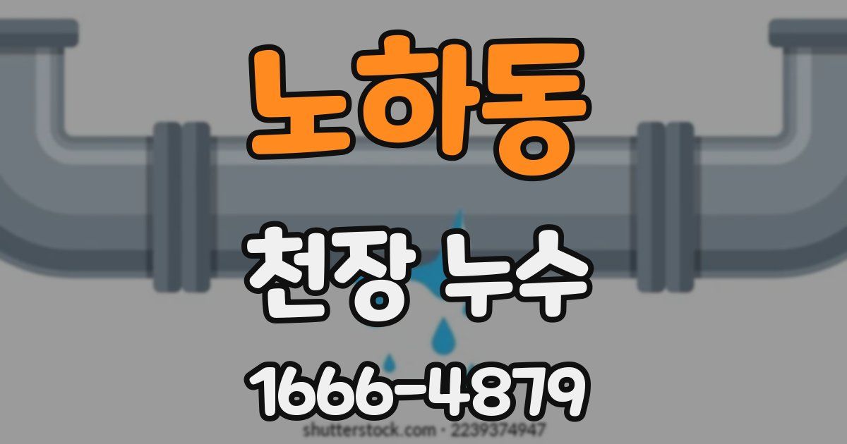 노하동 천장 누수