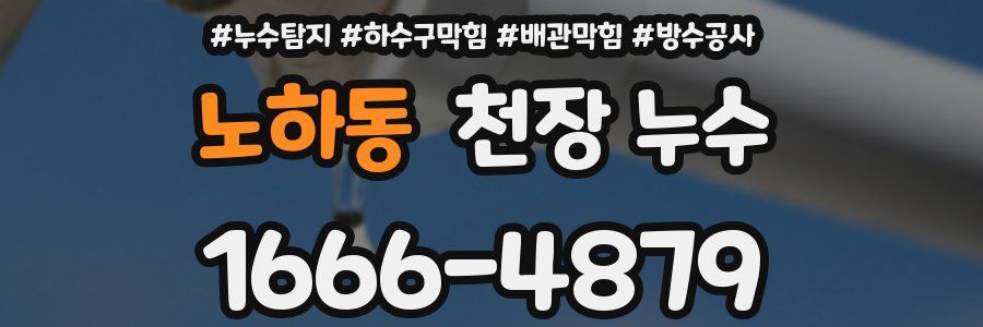 노하동 천장 누수