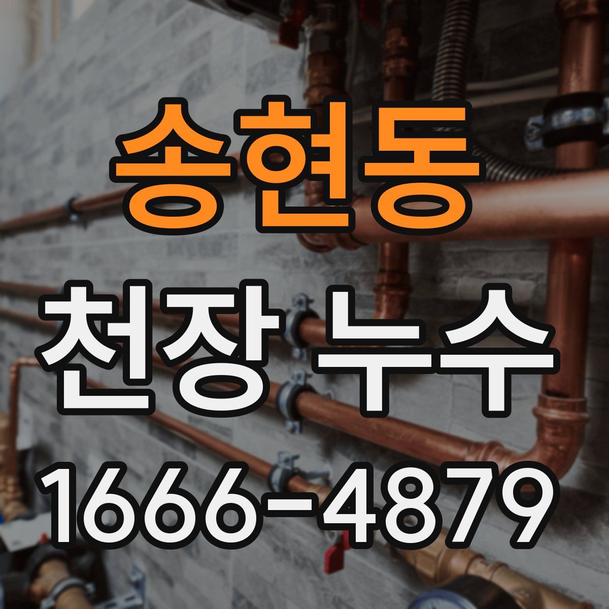 송현동 천장 누수