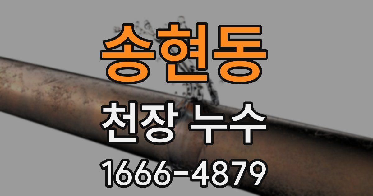송현동 천장 누수