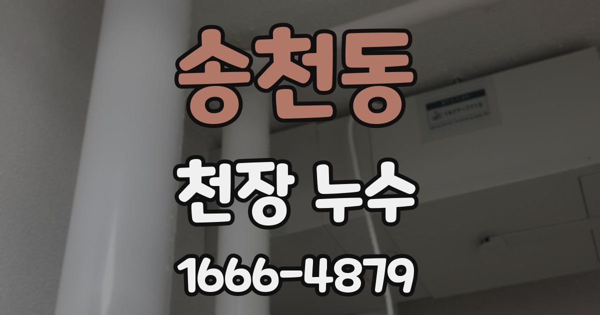 송천동 천장 누수