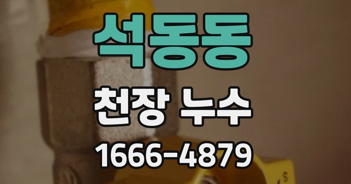석동동 천장 누수