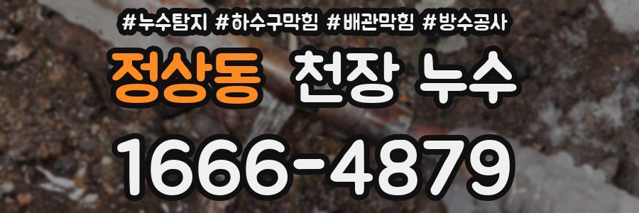 정상동 천장 누수