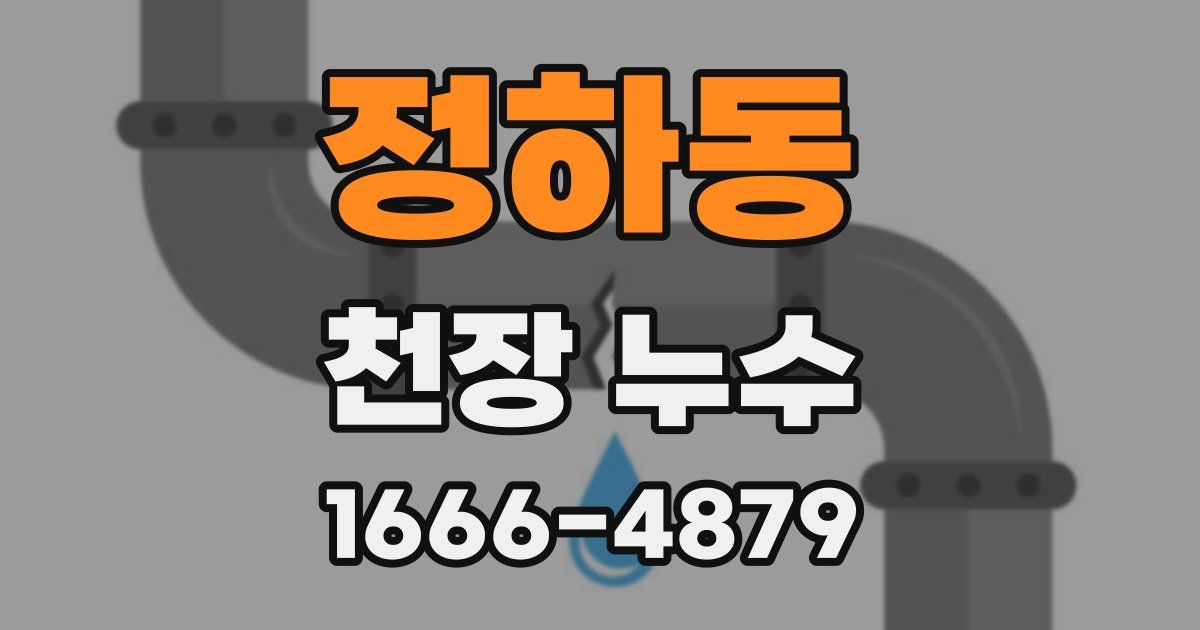 정하동 천장 누수