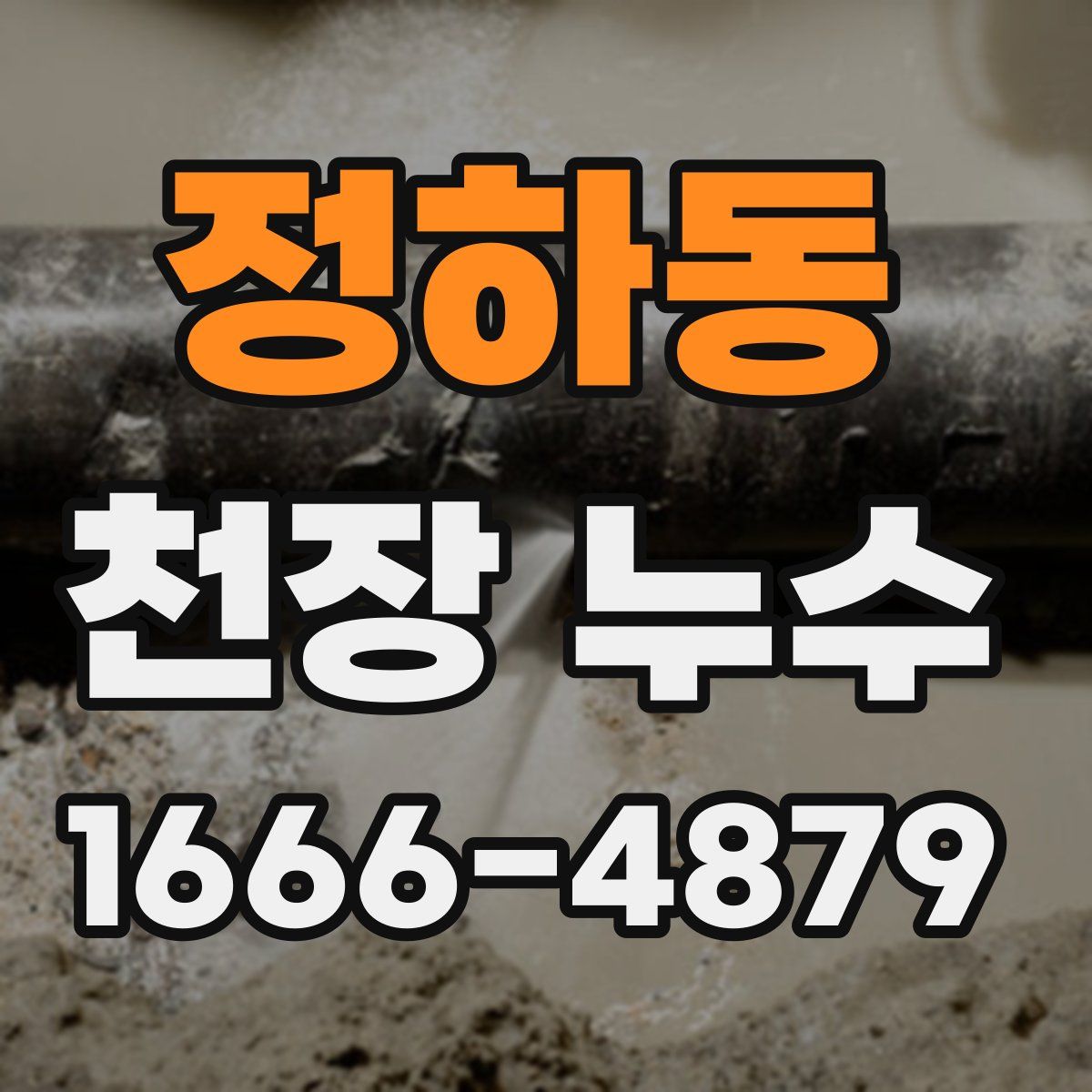 정하동 천장 누수