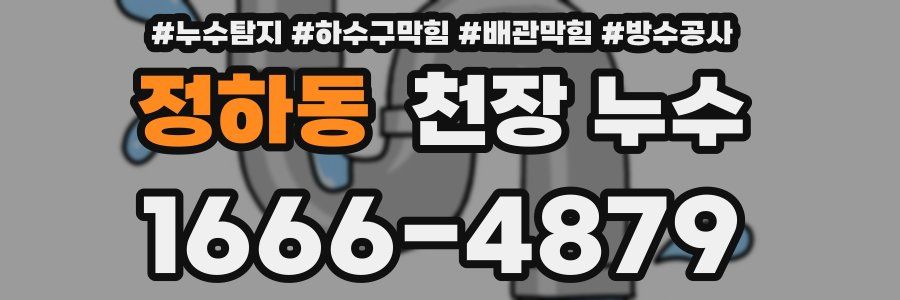 정하동 천장 누수