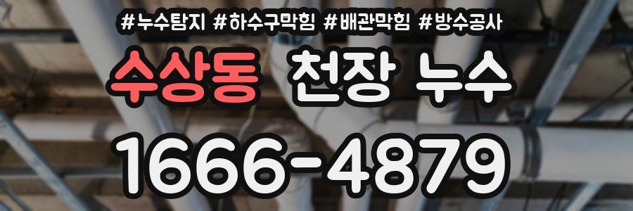 수상동 천장 누수