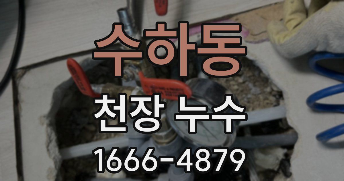 수하동 천장 누수