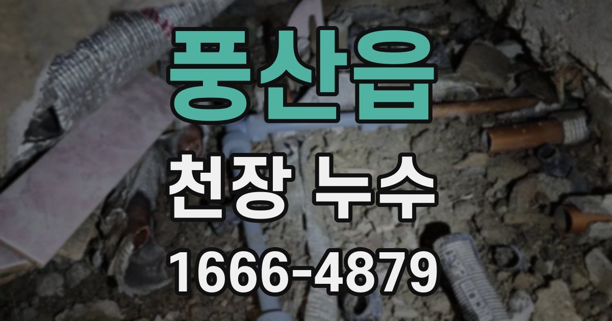 풍산읍 천장 누수