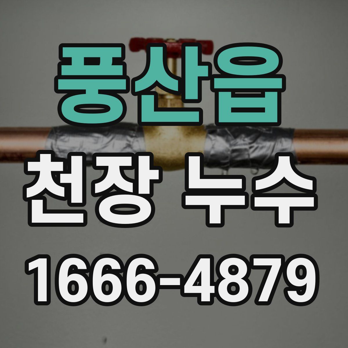 풍산읍 천장 누수