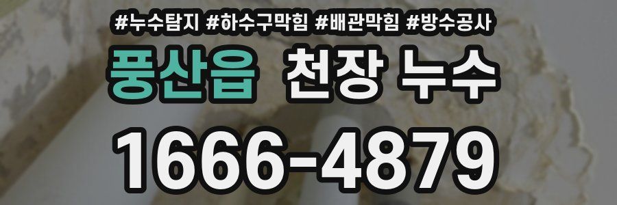 풍산읍 천장 누수