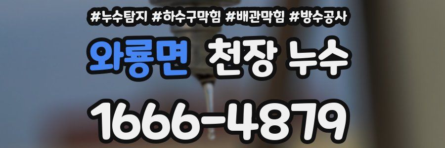 와룡면 천장 누수