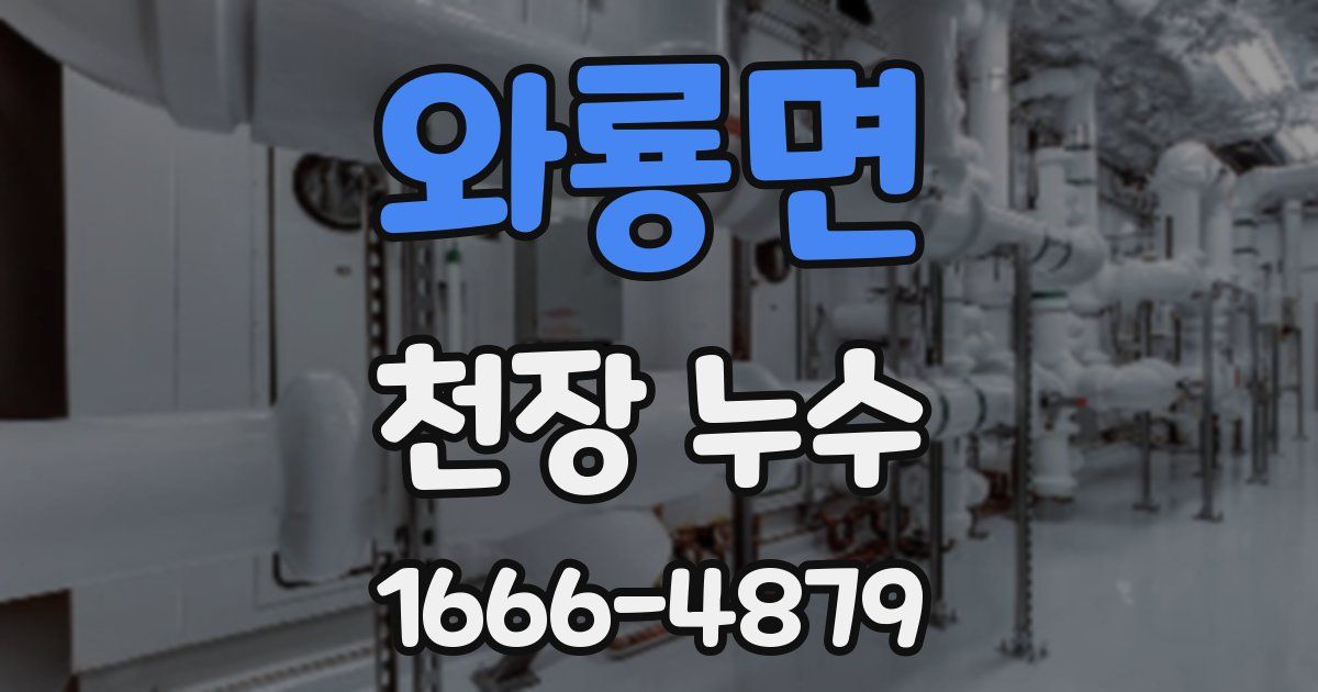 와룡면 천장 누수