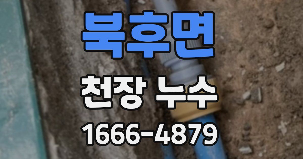 북후면 천장 누수