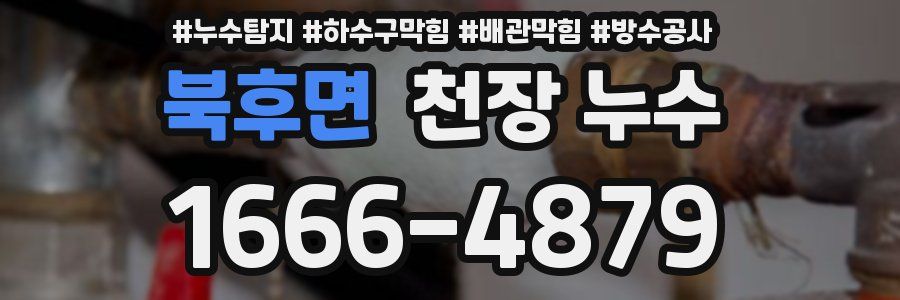 북후면 천장 누수