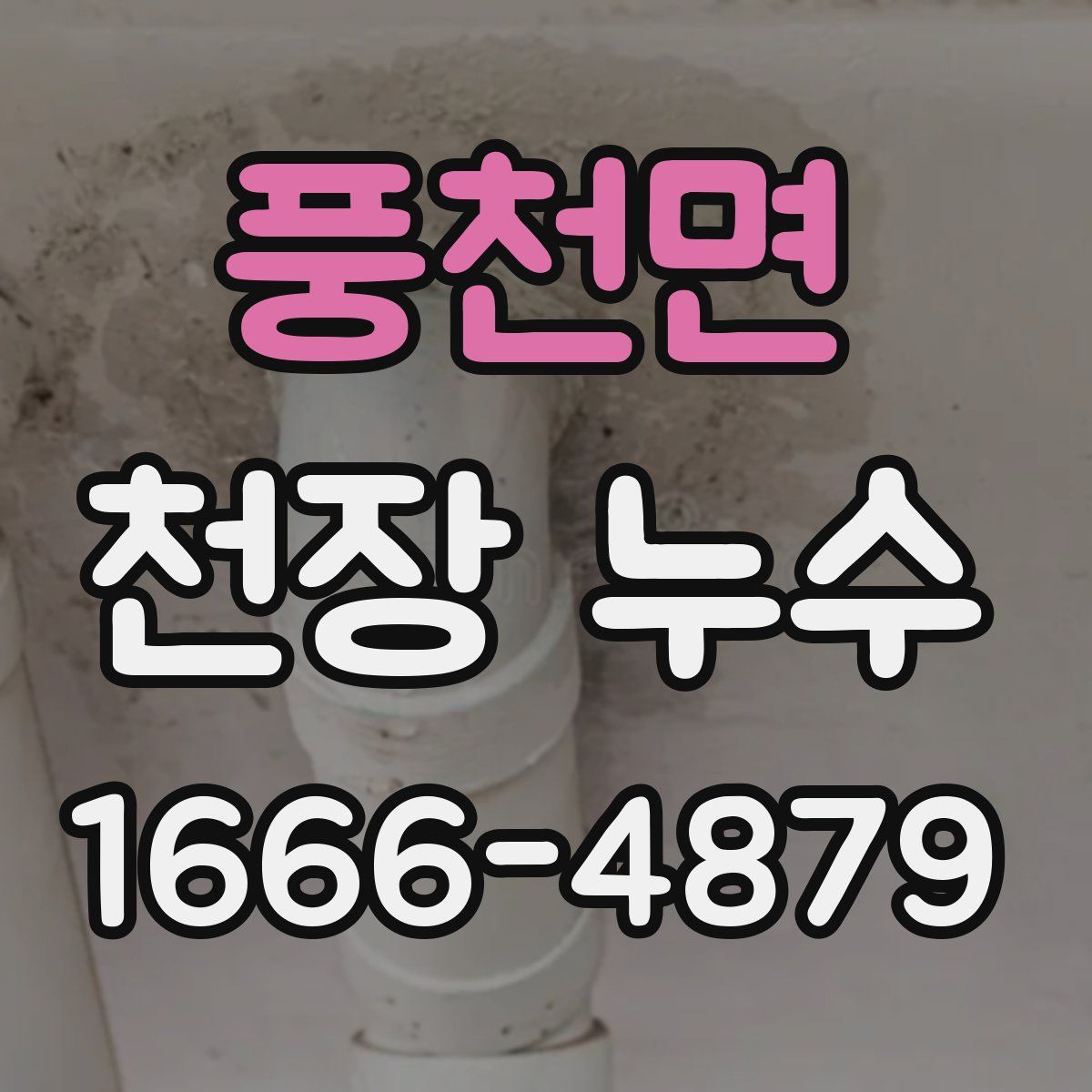 풍천면 천장 누수