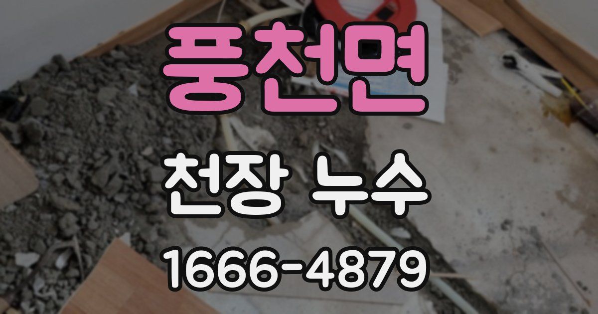 풍천면 천장 누수