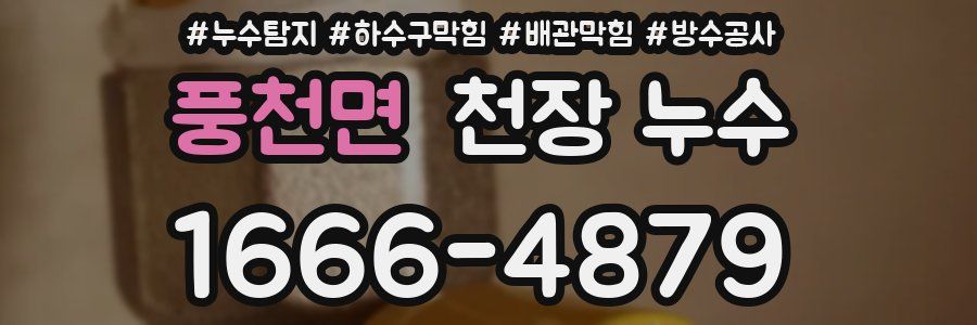 풍천면 천장 누수