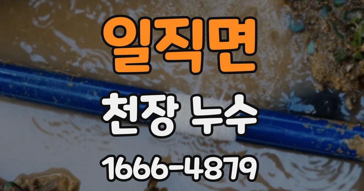 일직면 천장 누수