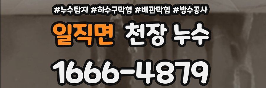 일직면 천장 누수