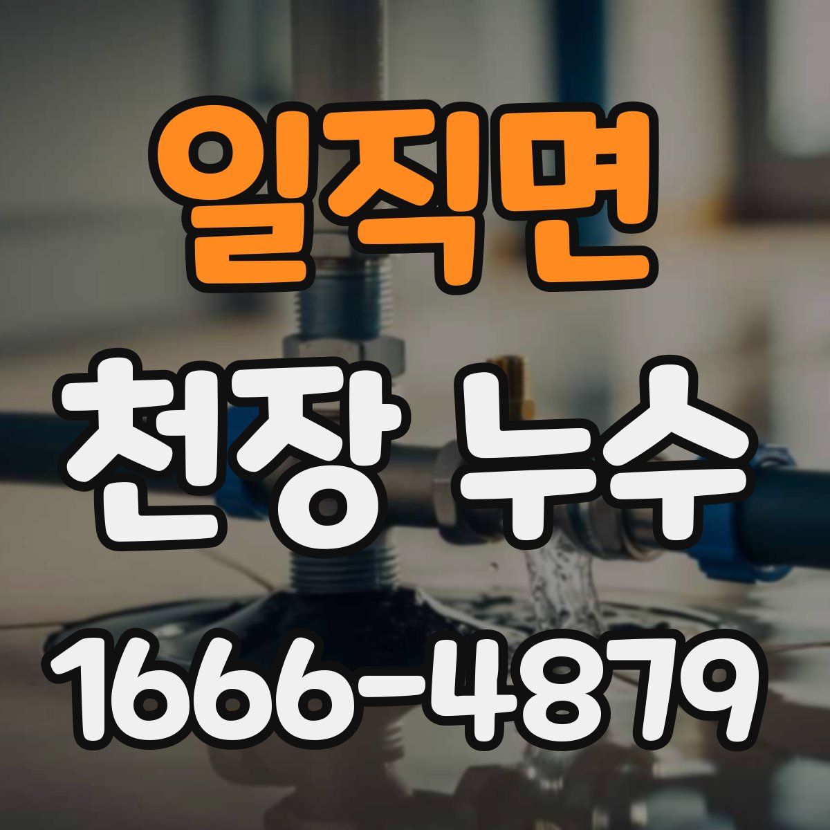 일직면 천장 누수