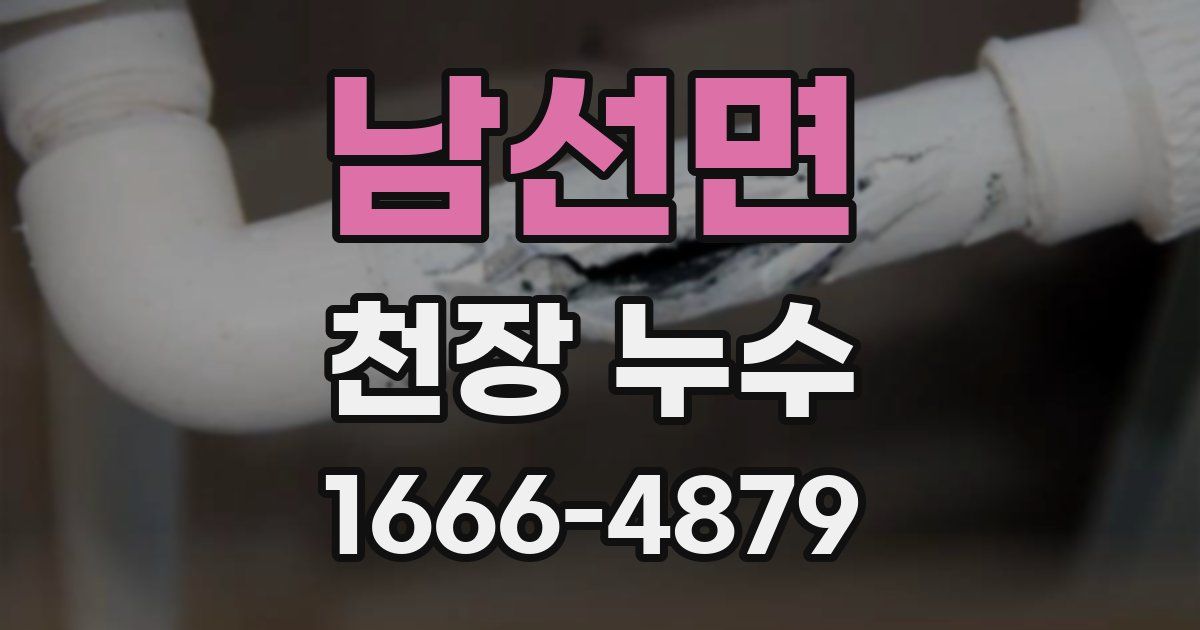 남선면 천장 누수