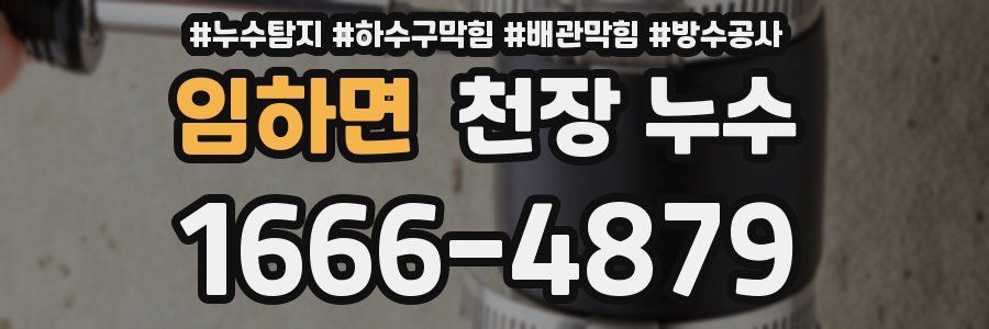임하면 천장 누수