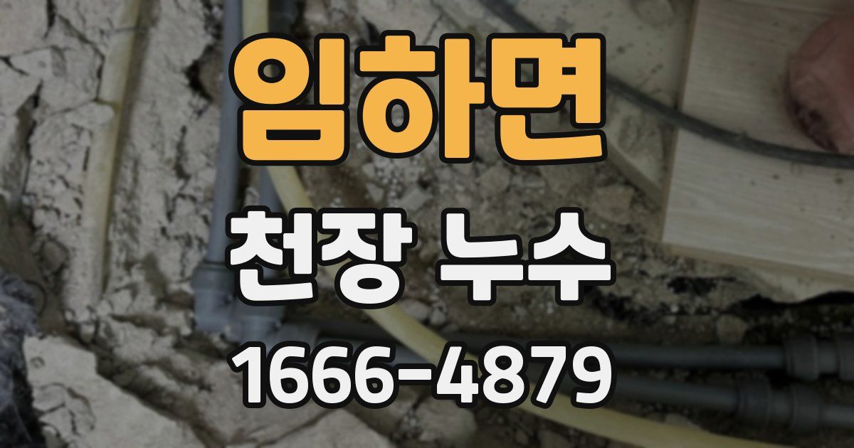 임하면 천장 누수