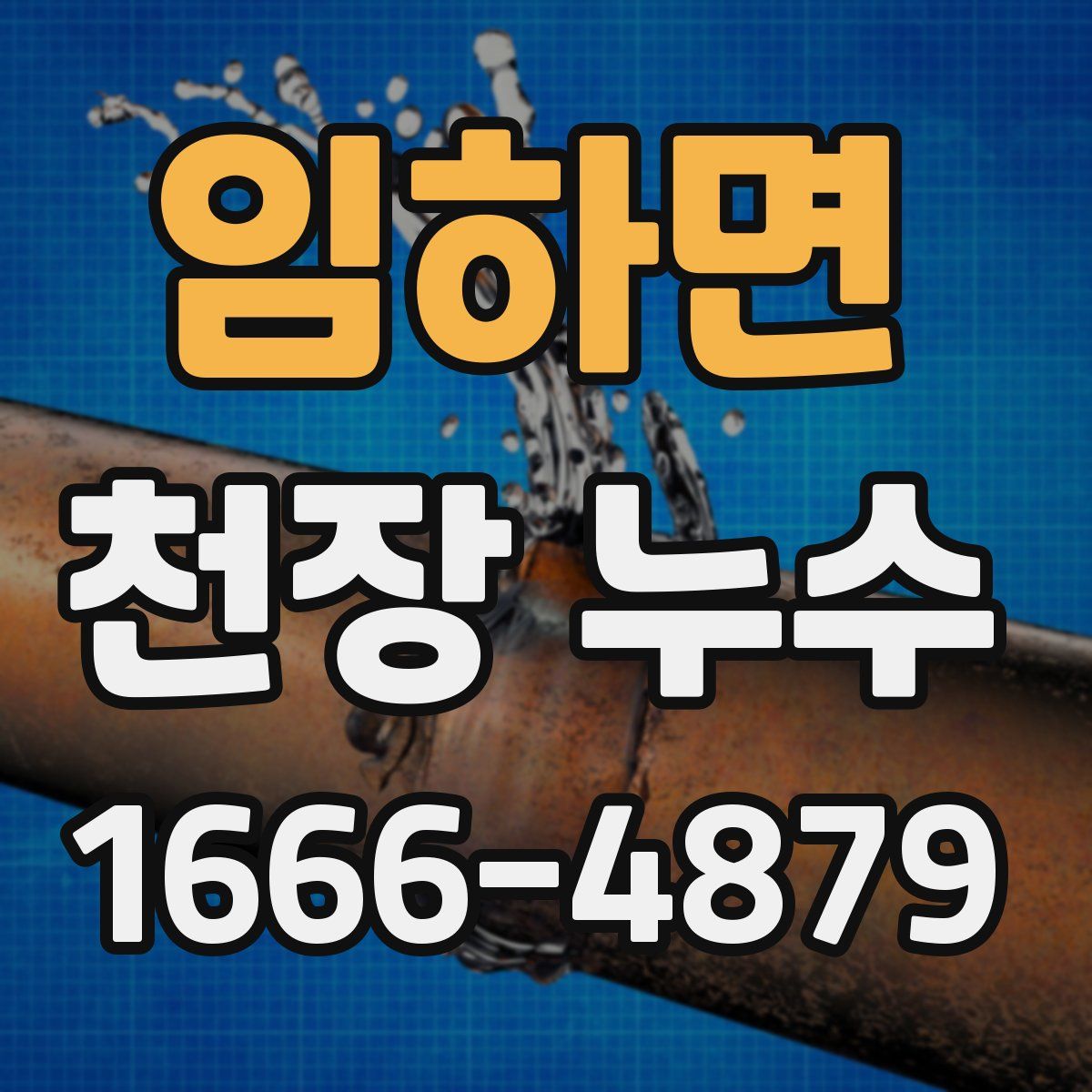 임하면 천장 누수